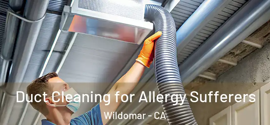  Duct Cleaning for Allergy Sufferers Wildomar - CA