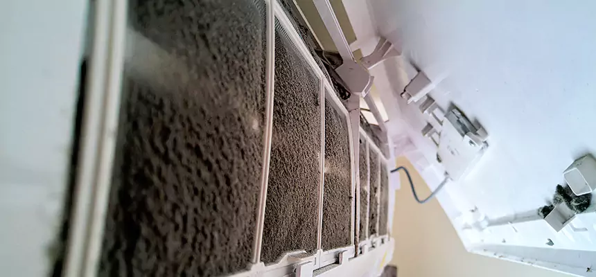 Preventive Air Duct Bacteria Removal in Wildomar