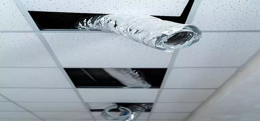 Affordable HVAC Sanitizing After Pest Removal in Wildomar