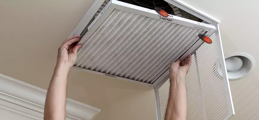 Our Insect Removal from Air Ducts Services in Wildomar, CA