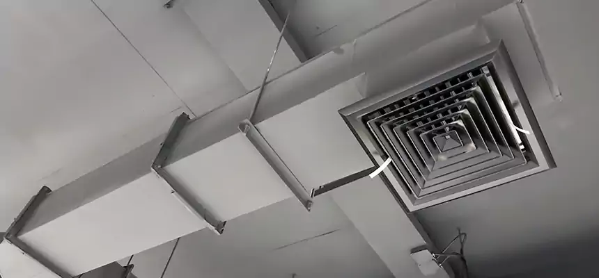 Our Rodent Droppings In Vents Services in Wildomar, CA