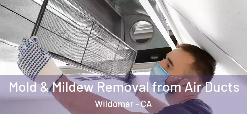  Mold & Mildew Removal from Air Ducts Wildomar - CA
