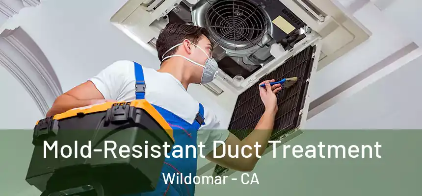  Mold-Resistant Duct Treatment Wildomar - CA