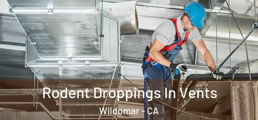  Rodent Droppings In Vents Wildomar - CA