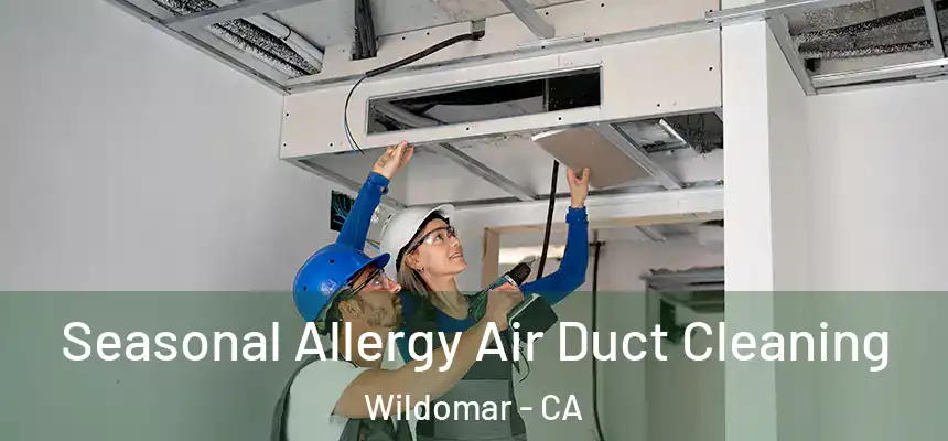  Seasonal Allergy Air Duct Cleaning Wildomar - CA
