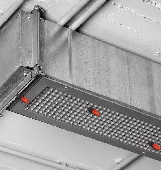 About Air Duct Cockroach Removal in Wildomar, CA