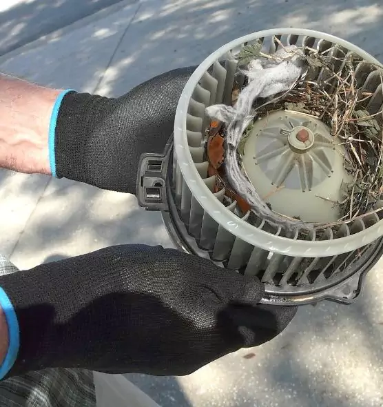 About Air Duct Mice Removal in Wildomar, CA