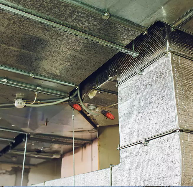 Why Homeowners & Businesses Trust Us in Wildomar, CA?