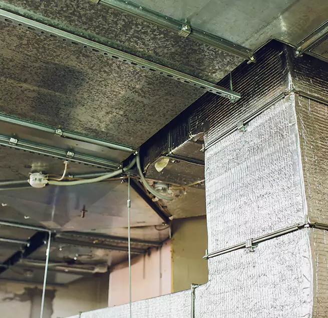 Why Homeowners & Businesses Trust Us in Wildomar, CA?